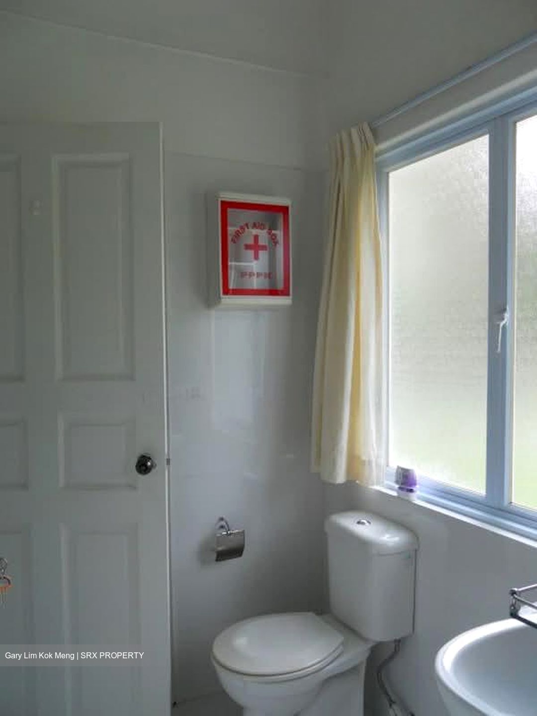 Raffles Park (D11), Detached #564194311